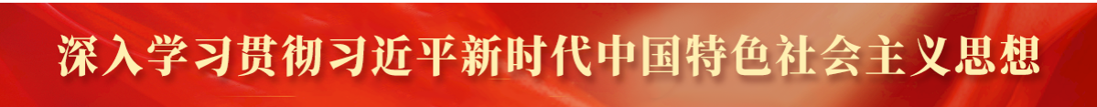 习近平重要思想